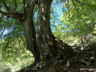 qua Rocca15-05-2022 10-05-08